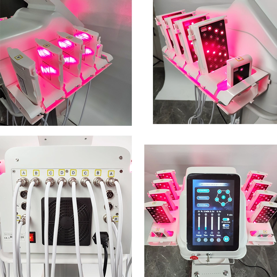 เครื่องสูบไขมันเลเซอร์ 6 มิติที่พัฒนา 209mw เครื่องสูบไขมันเลเซอร์ Lipo Super 6d ด้วยความยาว 635nm 650nm 780nm 810nm 940nm 980nm 3